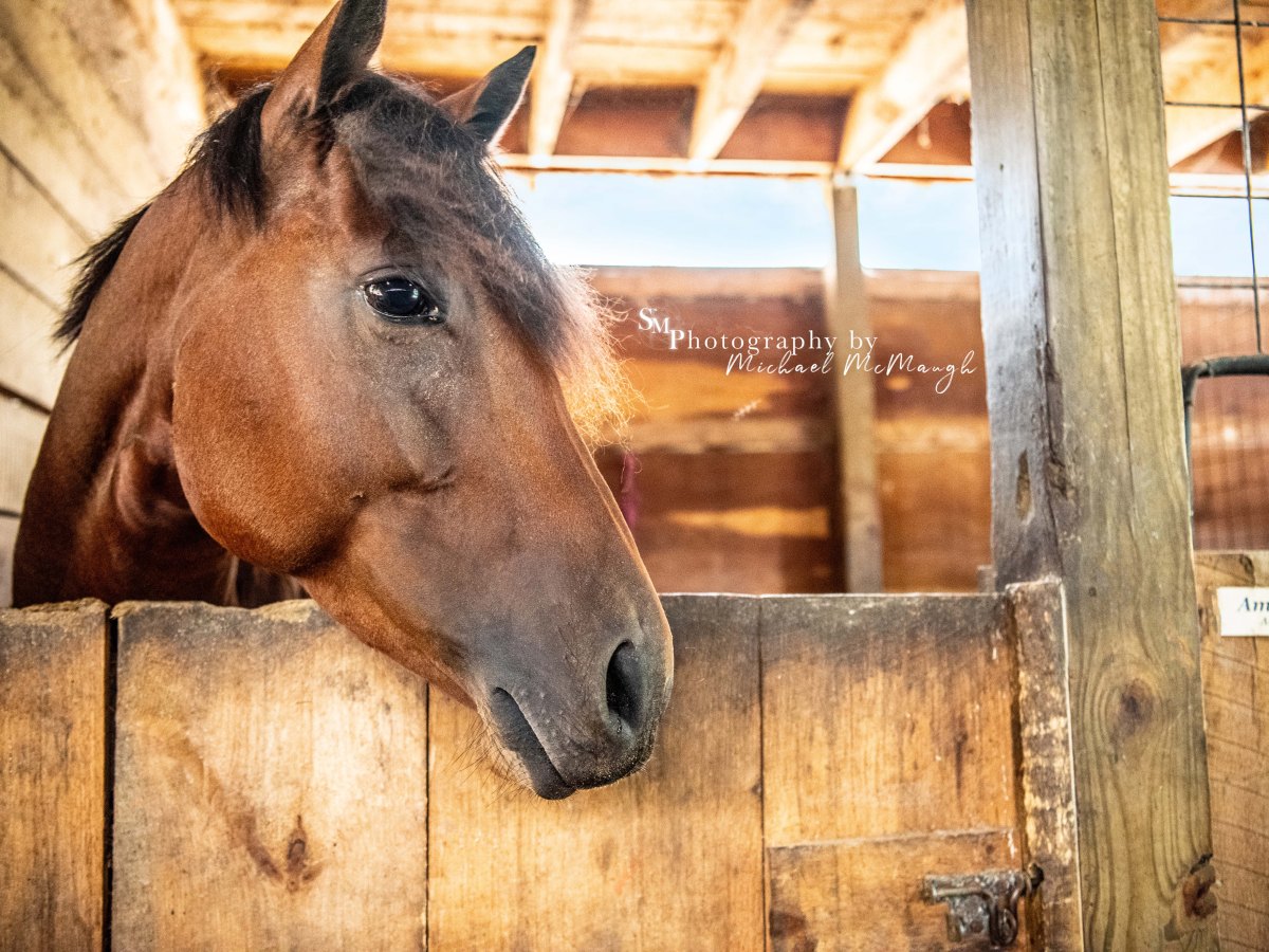A farm in Rhode&nbsp;Island