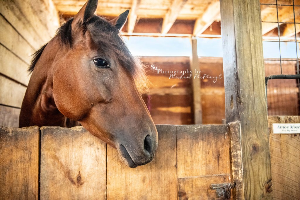 A farm in Rhode&nbsp;Island