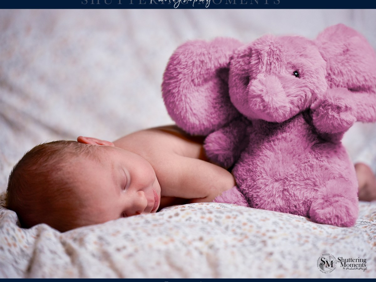 The Sweetest Moments: A Cozy In-Home Newborn&nbsp;Photoshoot